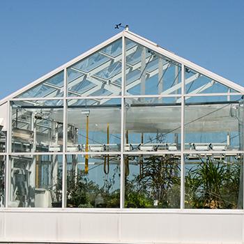 Exterior view of the DNA building greenhouse in the summer sunshine