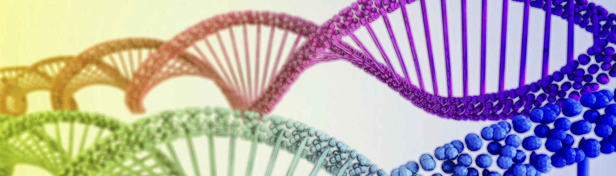 Strands of DNA