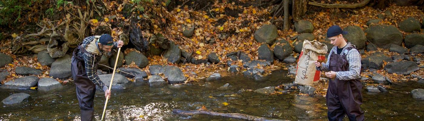 2 male students standing in waders in a river collecting samples in the fall shade