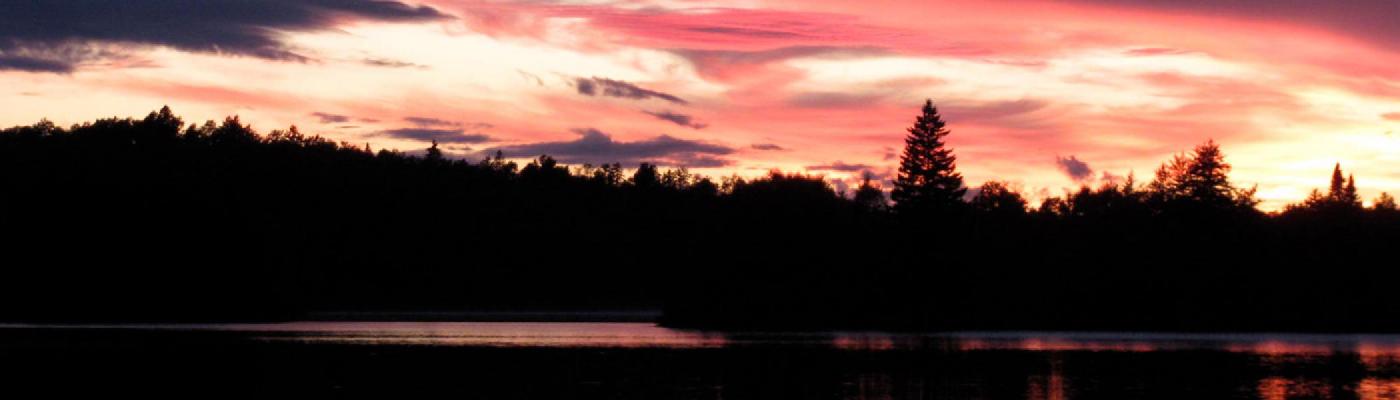 Sunset vista of a lake and tree line