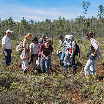 A group of students standing in a wetland taking a sample of earth, dressed in summer clothes
