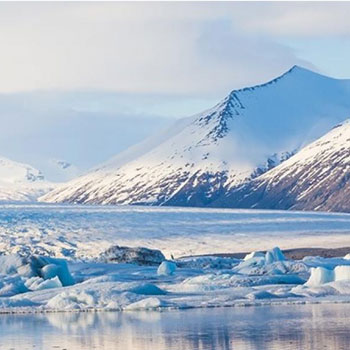 Arctic scene